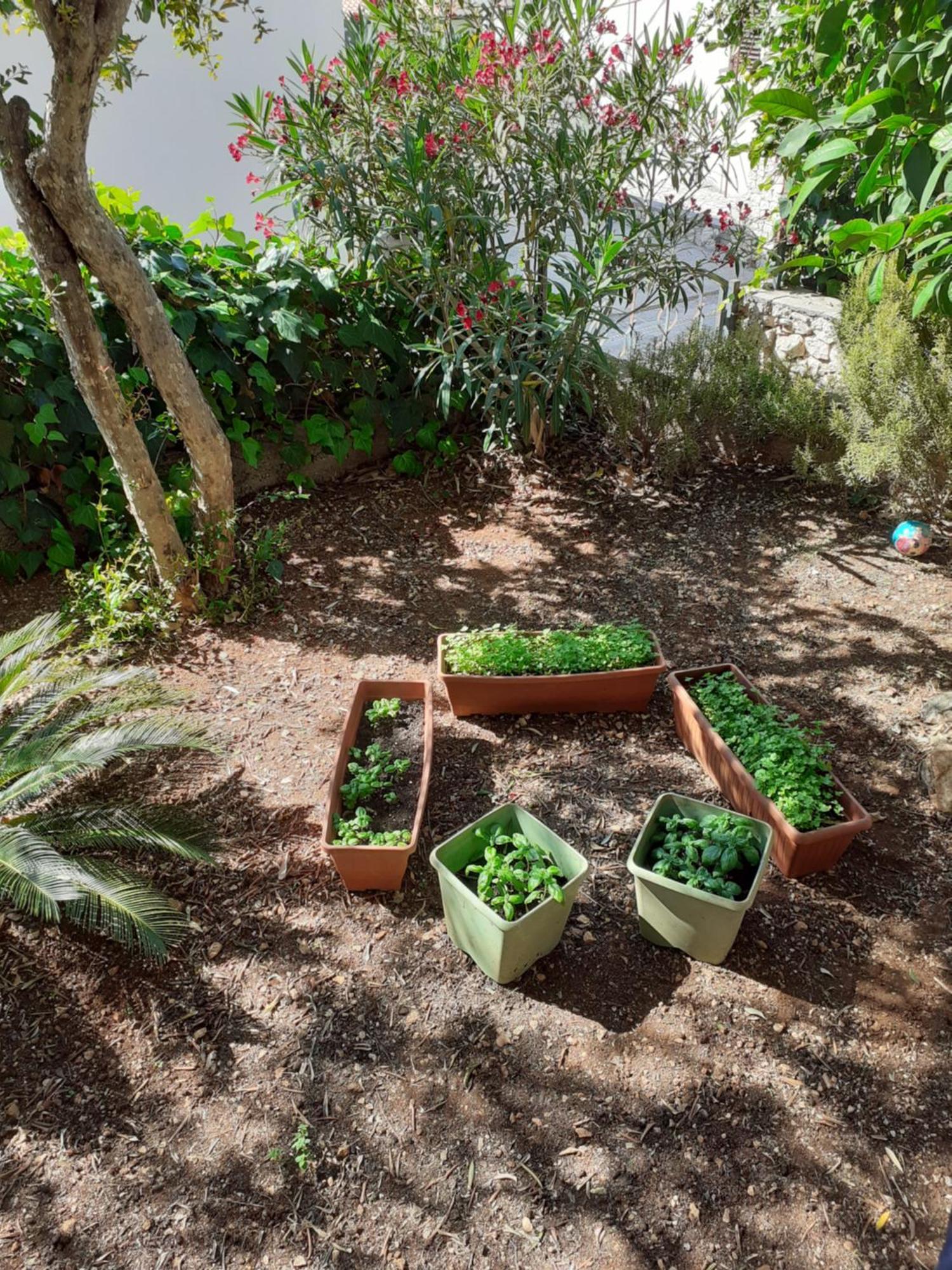 Apartman Gordana Trogir Exteriör bild